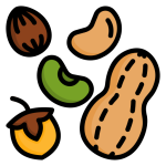آجیل